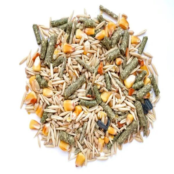 16% Premium Layer Feed with Black Soldier Fly Larvae, Fishmeal, & Herbs(Soy Free + High Protein)