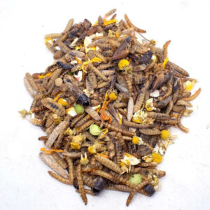Chicken Candy Treat For Chickens: Bloomgrubs, Mealworms, Crickets, Corn, Peas, & More!