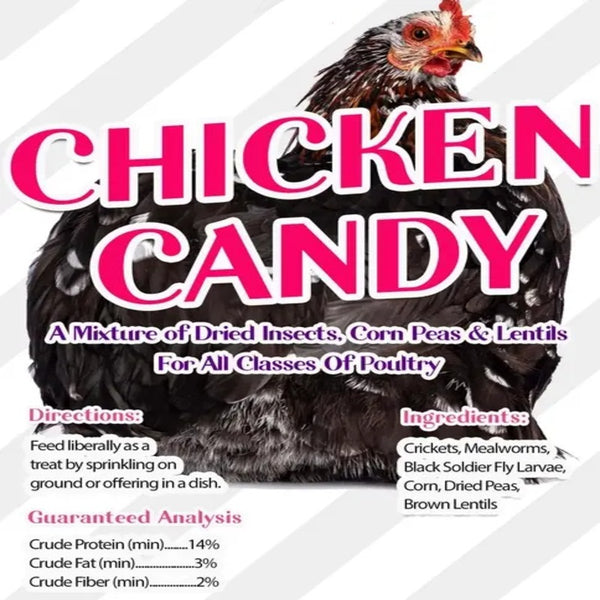 Chicken Candy Treat For Chickens: Bloomgrubs, Mealworms, Crickets, Corn, Peas, & More! - Image 3