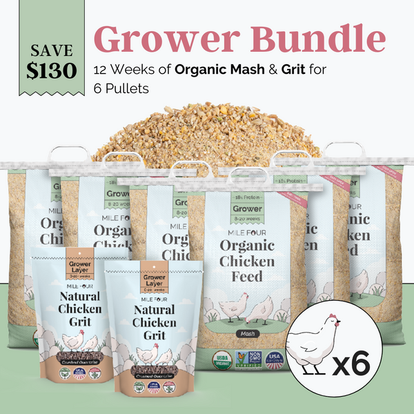 Grower Organic Chicken Feed - Image 3