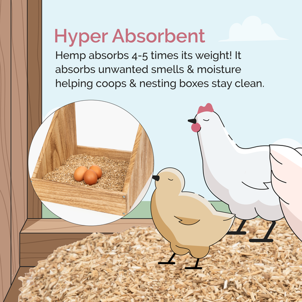Hemp Bedding for Chicken Coops - Image 8