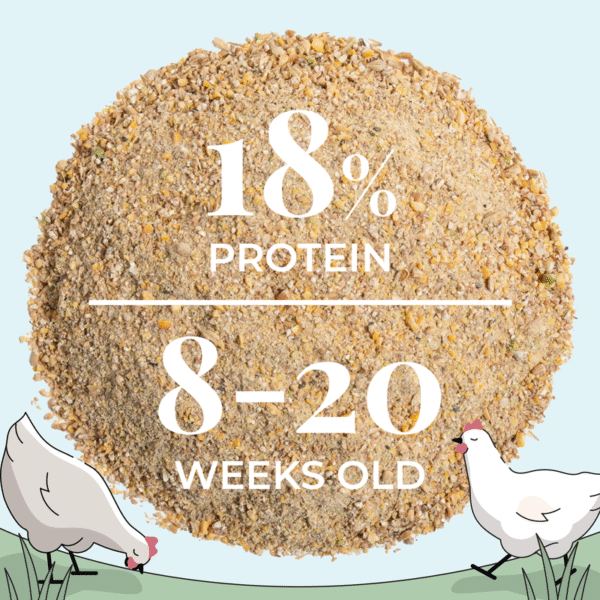 Grower Organic Chicken Feed - Image 8