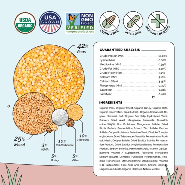 Layer Organic Chicken Feed - Image 6