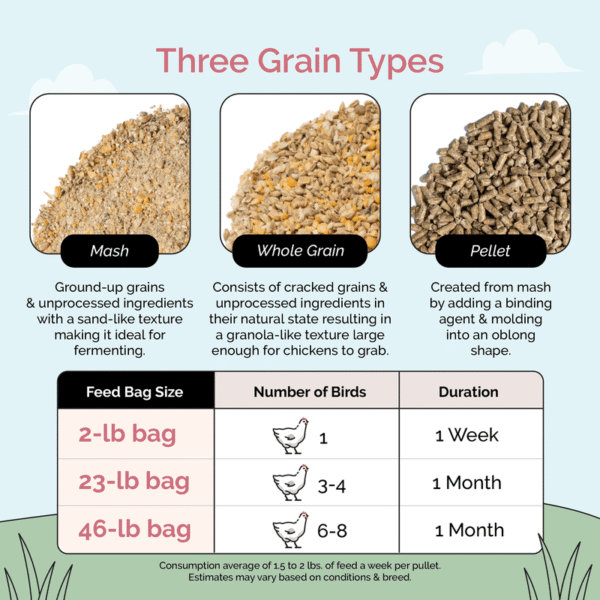 Grower Organic Chicken Feed - Image 15