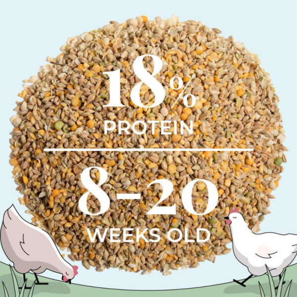 Grower Organic Chicken Feed - Image 16