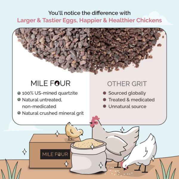 Chicken Grit - Image 11