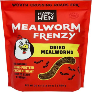 Mealworm Frenzy