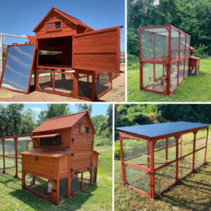 BUNDLE: Rhode Island XL Chicken Coop + Run Extension + Run Roof