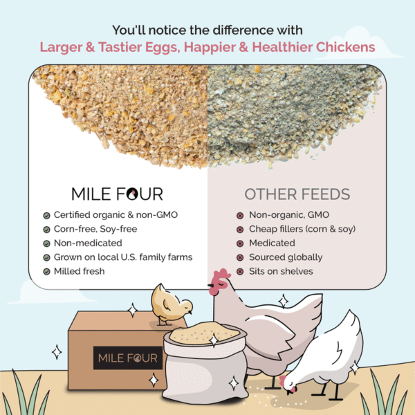 Starter Bundle | 8 Weeks of Organic Feed & Grit for 6 Chicks - Image 8