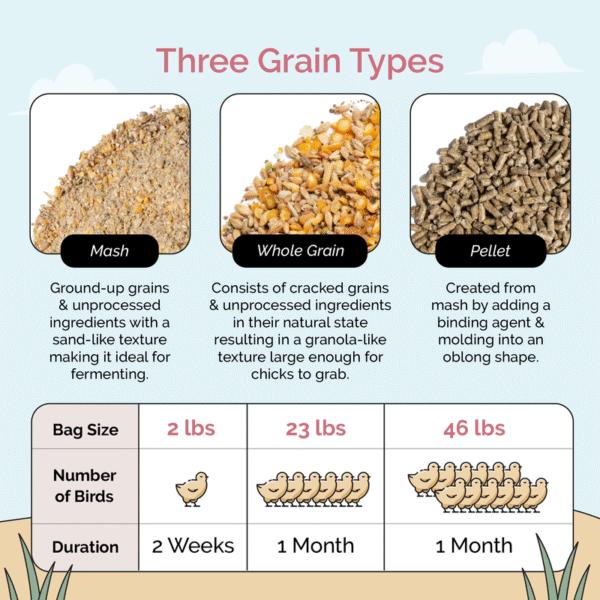 Starter Bundle | 8 Weeks of Organic Feed & Grit for 6 Chicks - Image 10
