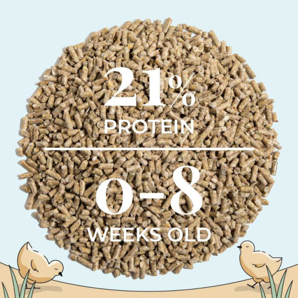 Starter Organic Chicken Feed - Image 15