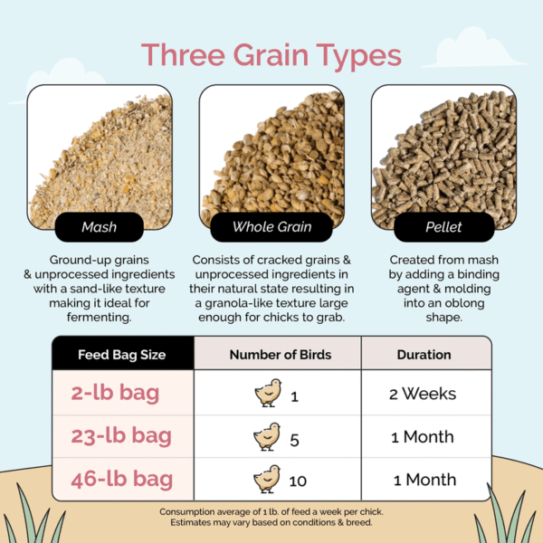 Starter Organic Chicken Feed - Image 17