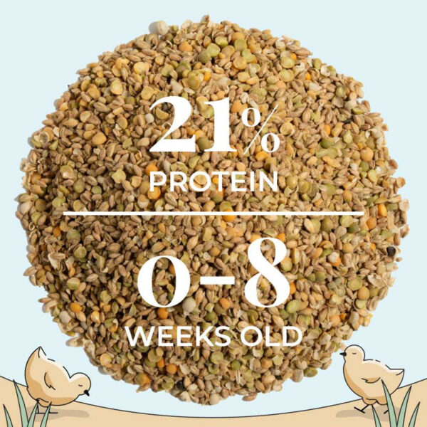 Starter Organic Chicken Feed - Image 18