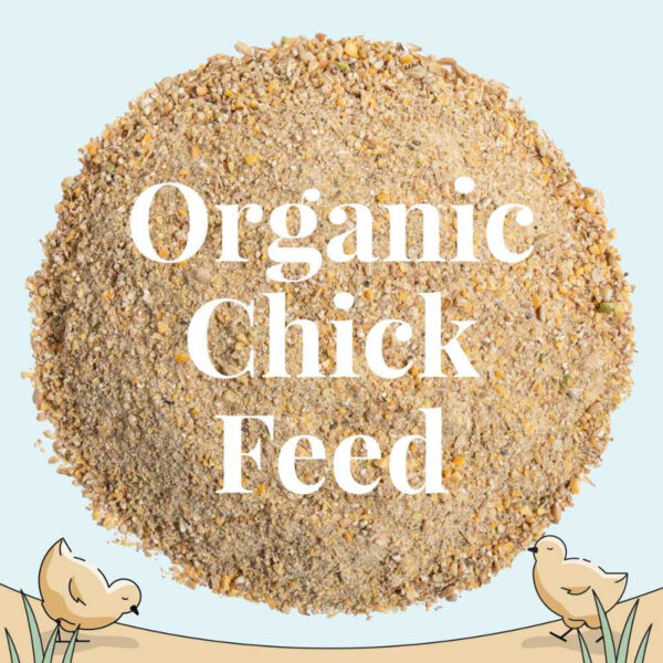 Starter Organic Chicken Feed - Image 21