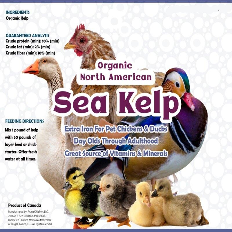 Sea Kelp For Extra Vitamins, Minerals, & Amino Acids For Pet Chickens & Ducks - Image 5