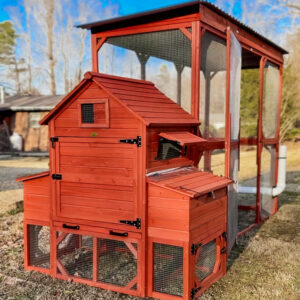 Orpington Lodge Chicken Coop with Run for 6+ Chickens