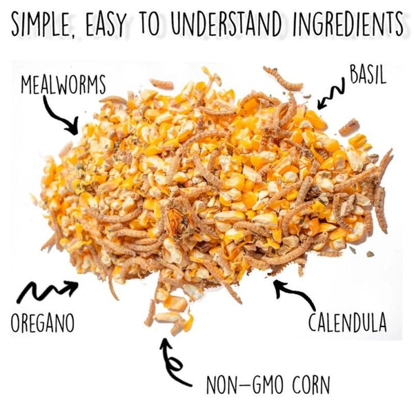 Poultry Queen Mealworm, Non - Gmo Corn, Non - Gmo Flax, & Herb Treat For Pet Chickens - Image 4