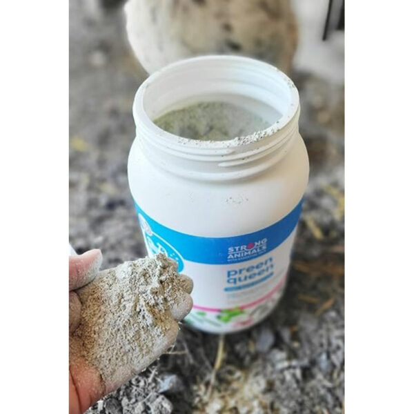 Preen Queen Dust Bath Additive for Chickens - Image 6