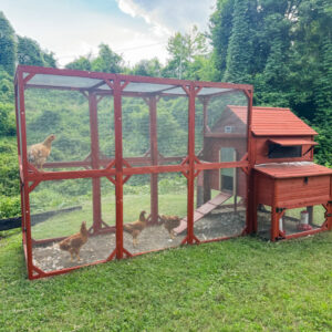 Prebuilt Chicken Coops