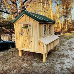Rustic Cabin-Style Coop