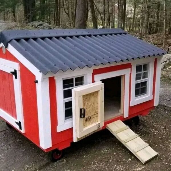 The Barnyard Bungalow Coop - Image 5