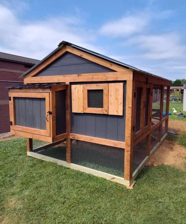 The Timberline Coop