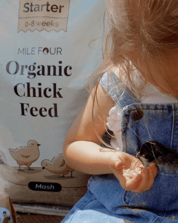 Starter Organic Chicken Feed - Image 5
